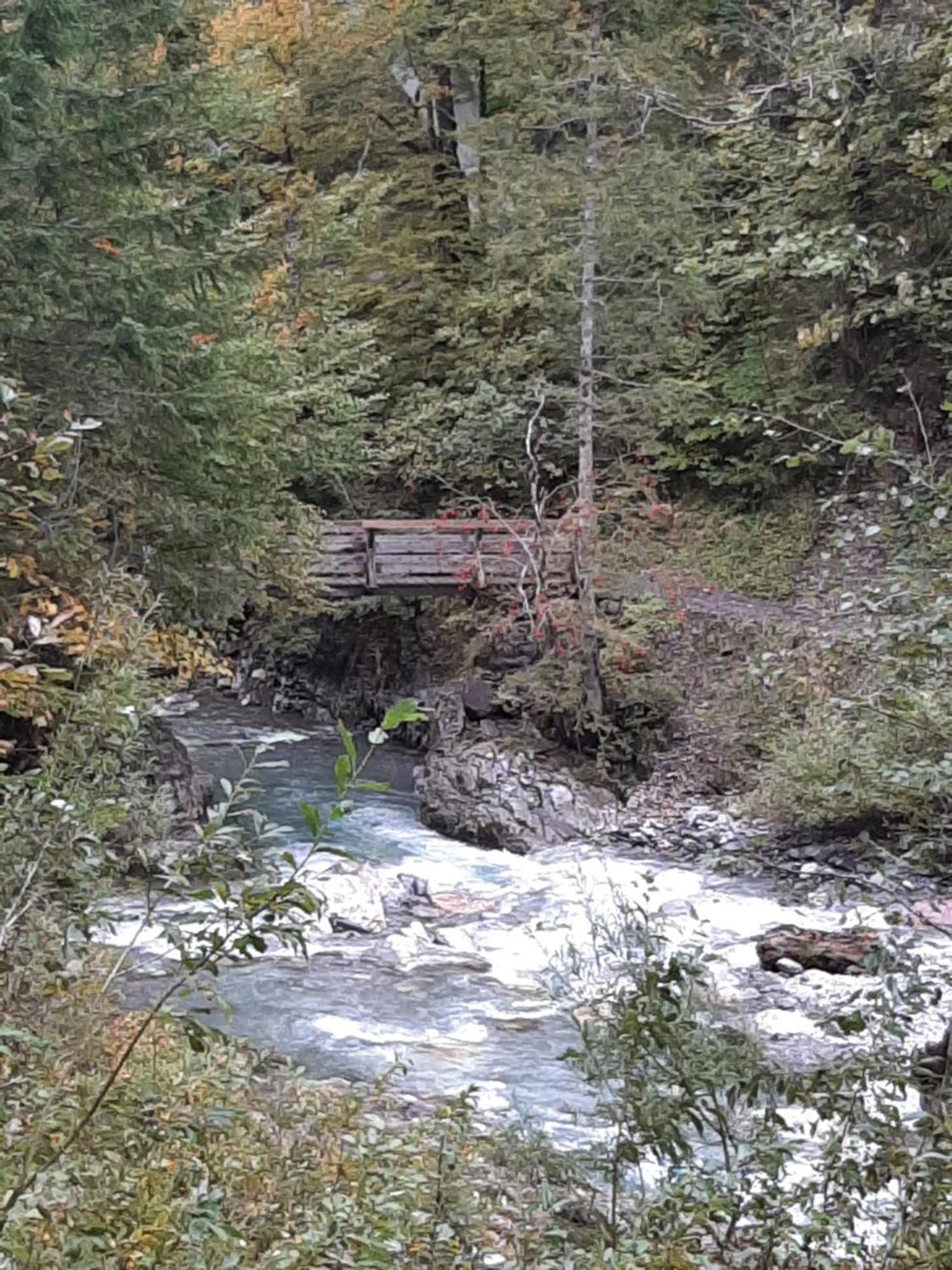 Alpin Chalet Schröcken المظهر الخارجي الصورة